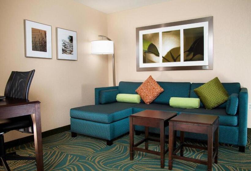 سوئیت با تخت بزرگ, Springhill Suites By Marriott Medford