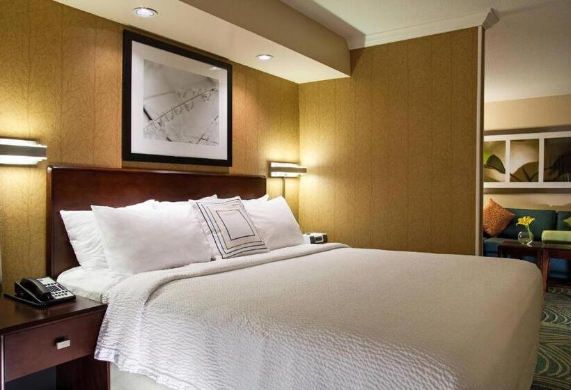 سوئیت با تخت بزرگ, Springhill Suites By Marriott Medford