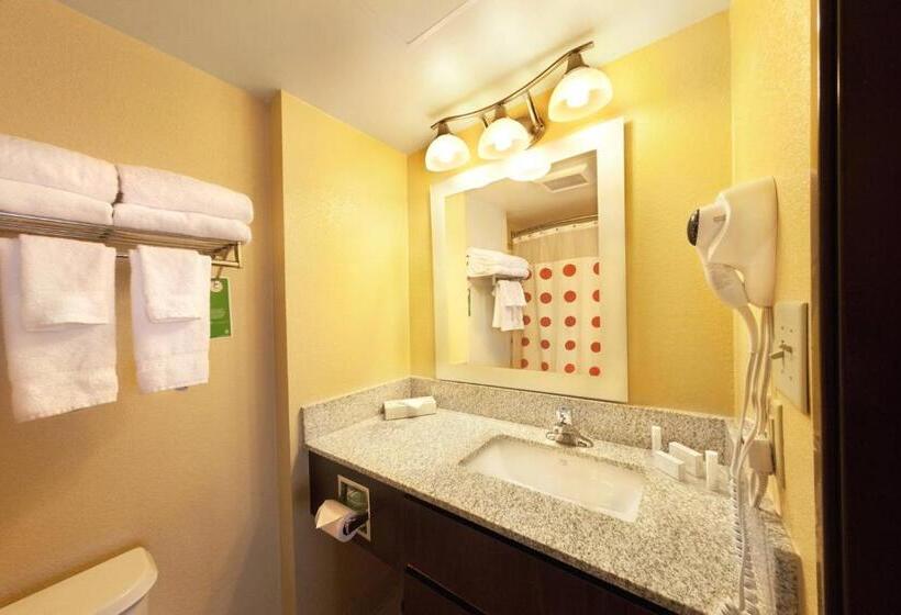 سوییت, Towneplace Suites Wilmington Newark/christiana