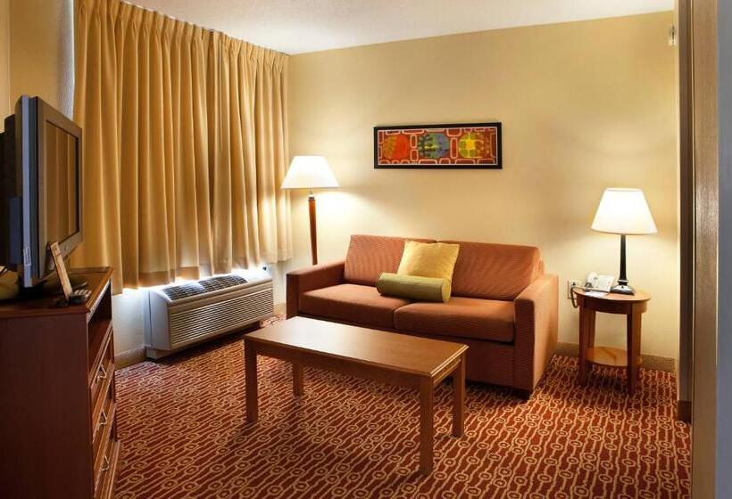 سوئیت با تخت بزرگ, Towneplace Suites Wilmington Newark/christiana
