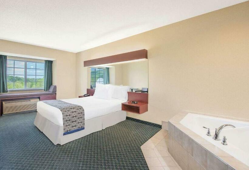豪华套房, Microtel Inn & Suites By Wyndham Hamburg