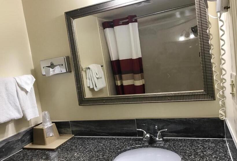 스탠다드 룸 킹사이즈 침대, Big Spring Inn Madisonville