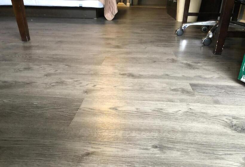 ２ダブルベッドのスタンダードルーム, Deerfield Inn And Suites  Fairview