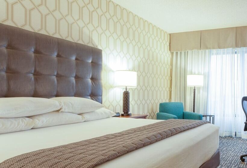 장애인용 디럭스룸, Drury Plaza Hotel St. Louis Chesterfield