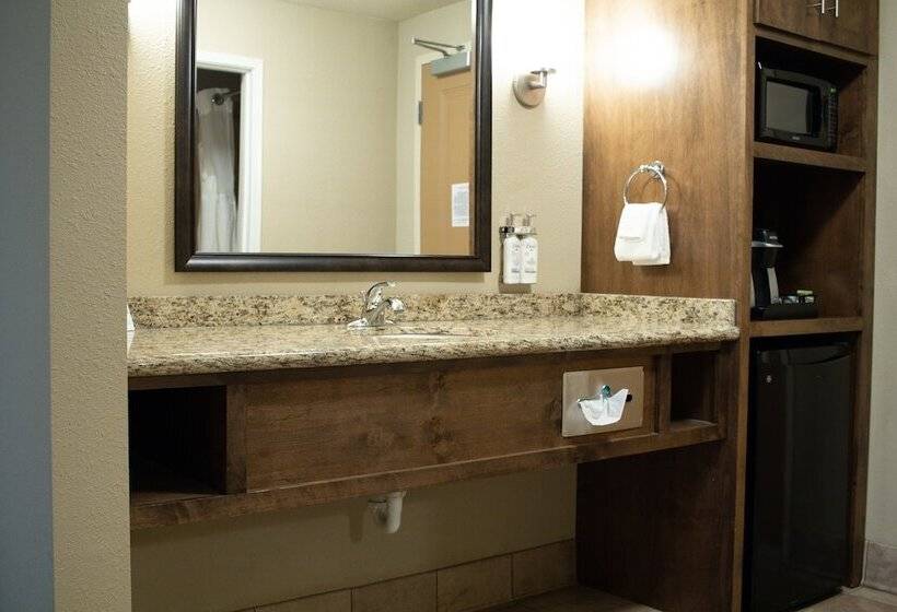 Номер Стандарт Адаптированный для Инвалидов, Holiday Inn Express & Suites   Williston, An Ihg