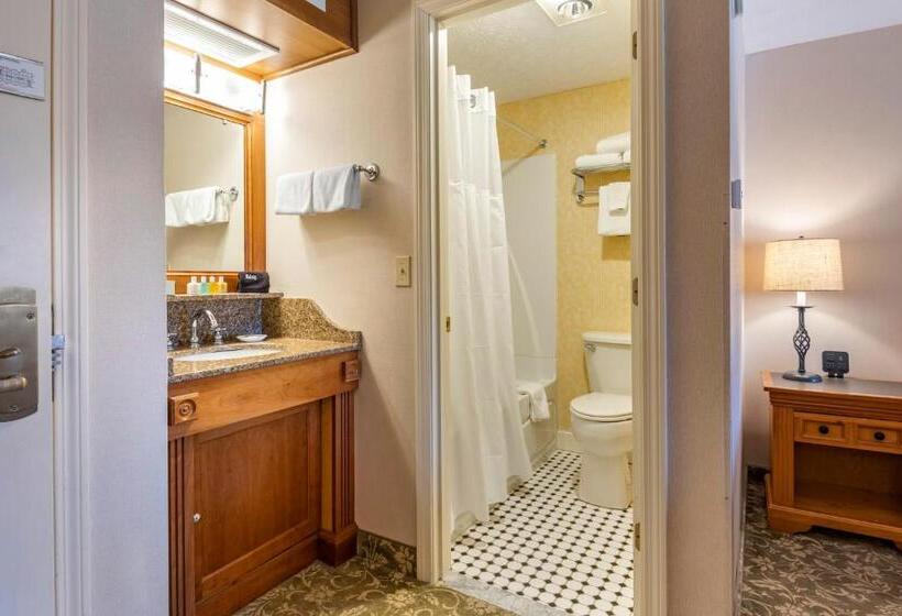 Номер Стандарт Адаптированный для Инвалидов, Meadowmere Resort