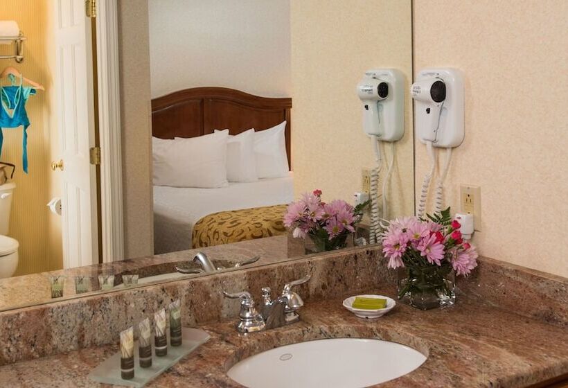 Номер Стандарт 2 Двуспальные Кровати, Meadowmere Resort