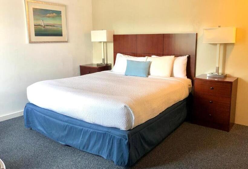 Стандартный Номер Кровать Кинг, Guestlodge
