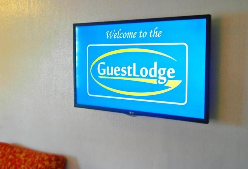 Студия Стандарт, Guestlodge