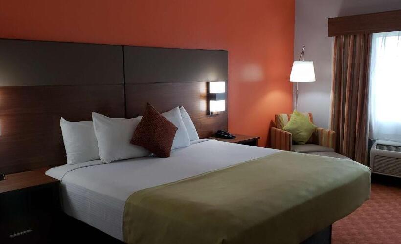 Номер Стандарт, Best Western Harker Heights Killeen