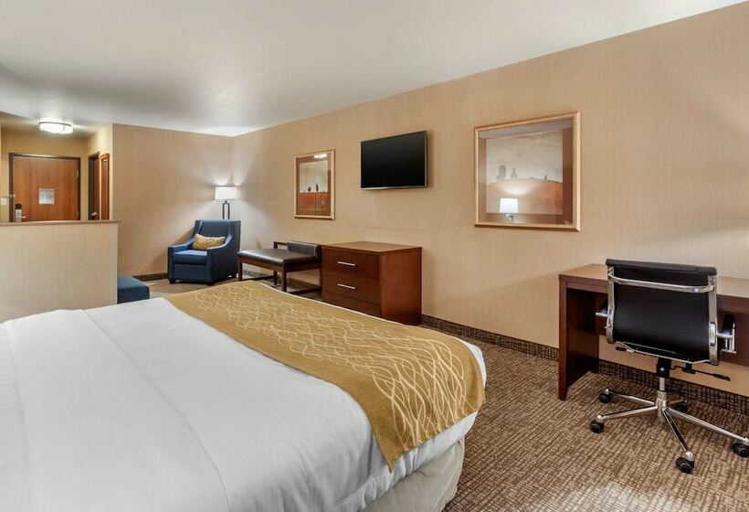 Люкс, Comfort Inn & Suites Mitchell I 90