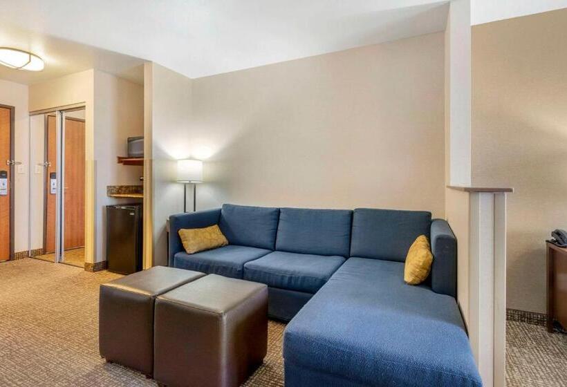 Стандартный Номер Кровать Кинг, Comfort Inn & Suites Mitchell I 90