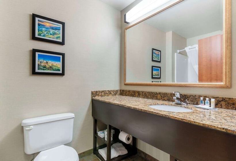 Номер Стандарт, Comfort Inn & Suites Mitchell I 90