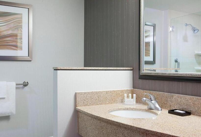 اتاق استاندارد با تخت بزرگ, Courtyard Des Moines Ankeny
