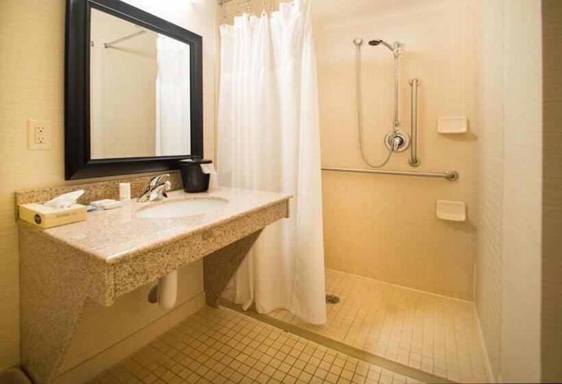 Стандартный Номер Кровать Кинг, Fairfield Inn & Suites Burley