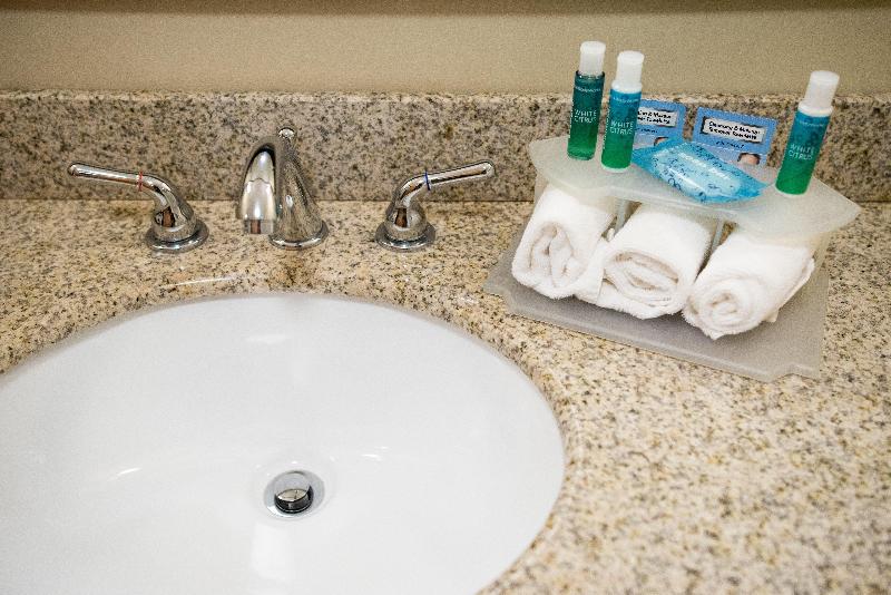 キングサイズベッドのスタンダードルーム, Holiday Inn Express   Albert Lea, An Ihg