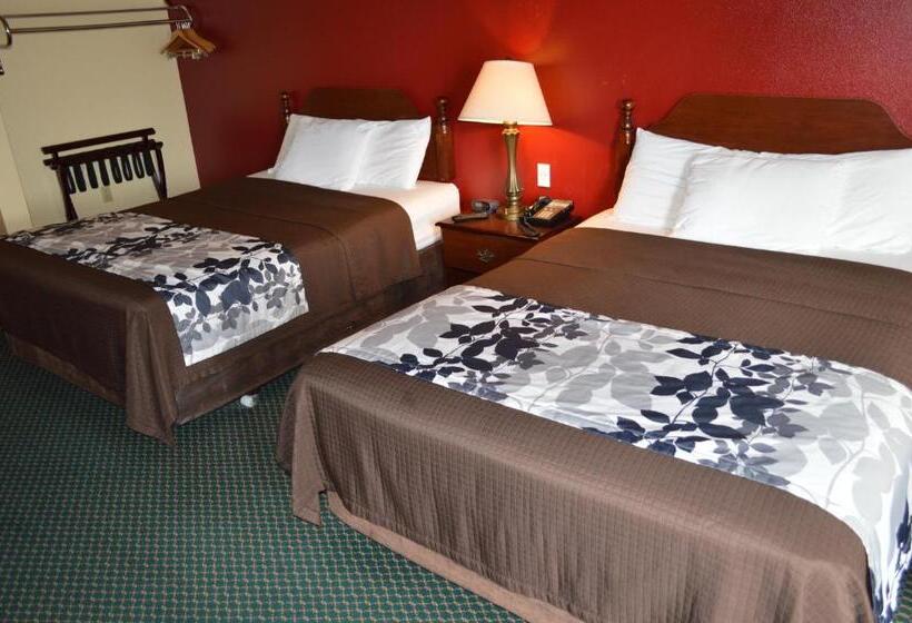 Номер Стандарт 2 Двуспальные Кровати, Western Motel