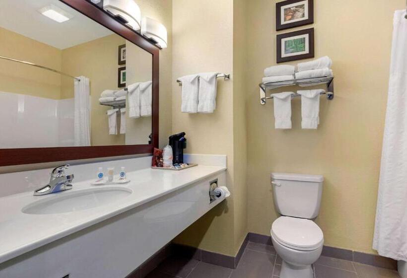 Стандартный Номер Кровать Кинг, Comfort Inn Us 60 63