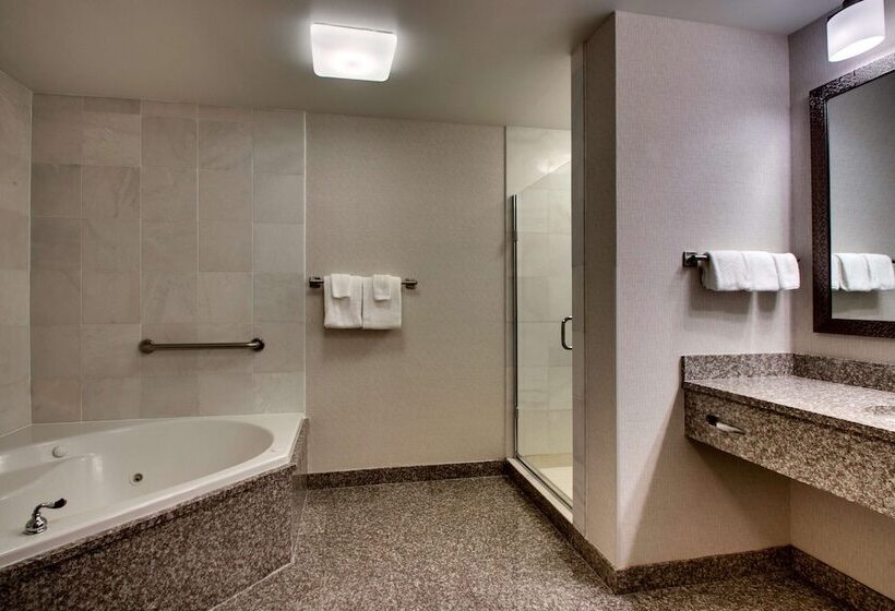 豪华房间, Drury Inn & Suites Charlotte Northlake