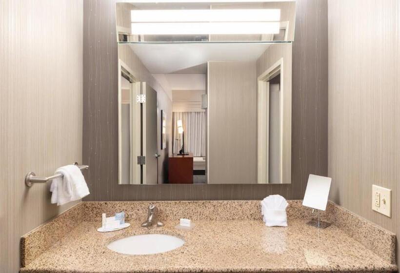 주니어 스위트, Courtyard By Marriott Greenville Downtown