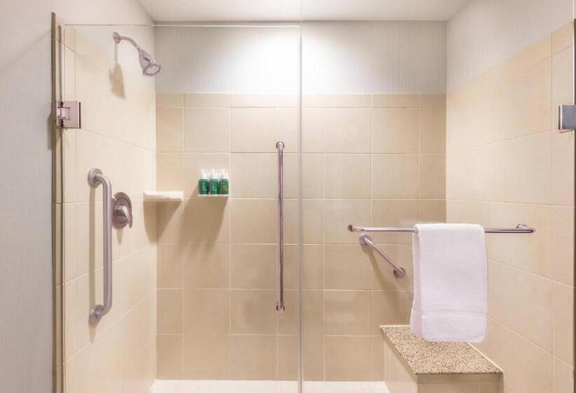 주니어 스위트, Courtyard By Marriott Greenville Downtown