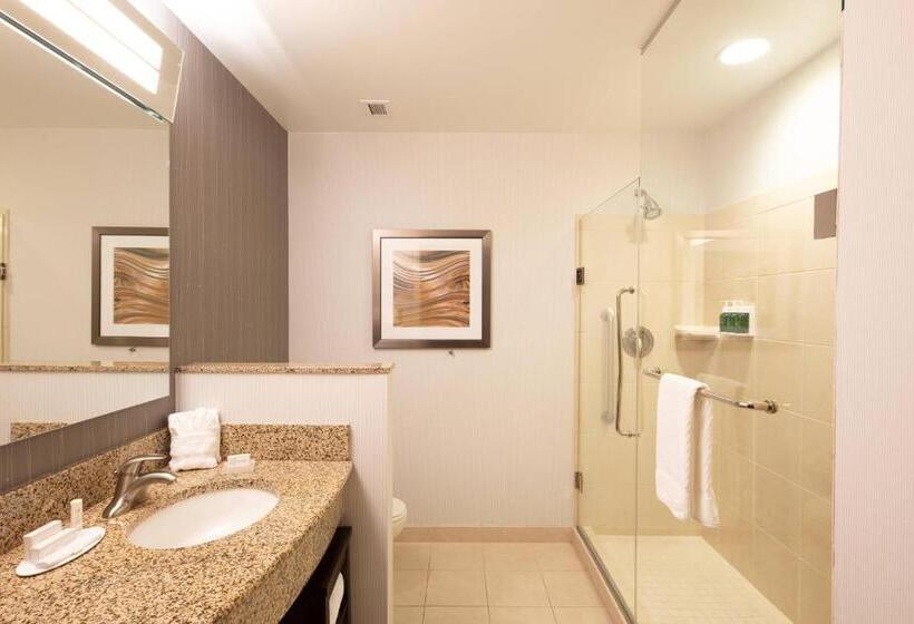 스위트 킹사이즈 침대, Courtyard By Marriott Greenville Downtown