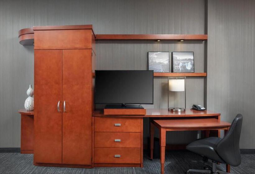장애인을 위한 킹사이즈 침대 스탠다드 룸, Courtyard By Marriott Greenville Downtown