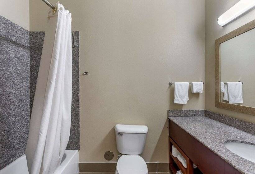 Люкс, Comfort Inn & Suites Carbondale University Area