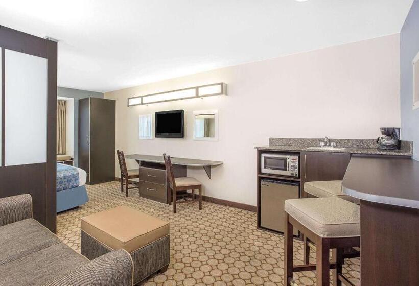 标准工作室, Microtel Inn And Suites San Angelo