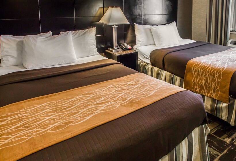 带2个双人床的标准工作室, Rodeway Inn Bronx Zoo