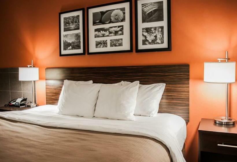 스탠다드 룸 킹사이즈 침대, Sleep Inn & Suites Fort Campbell