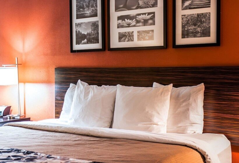 스위트, Sleep Inn & Suites Fort Campbell