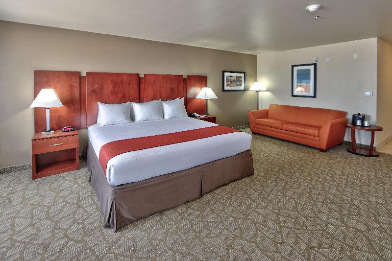 장애인을 위한 킹사이즈 침대 스탠다드 룸, Holiday Inn Roswell, An Ihg