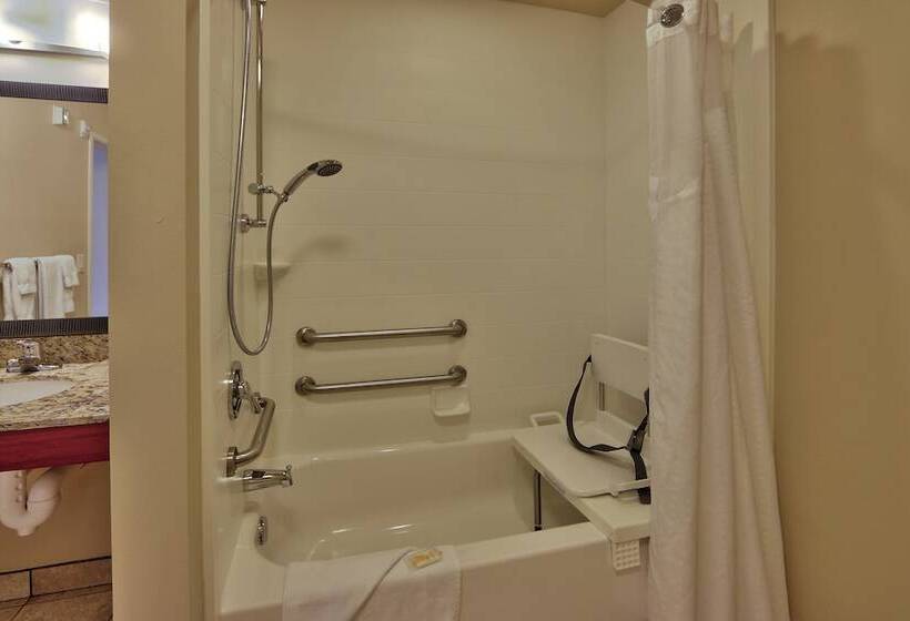 스탠다드 룸, Holiday Inn Roswell, An Ihg