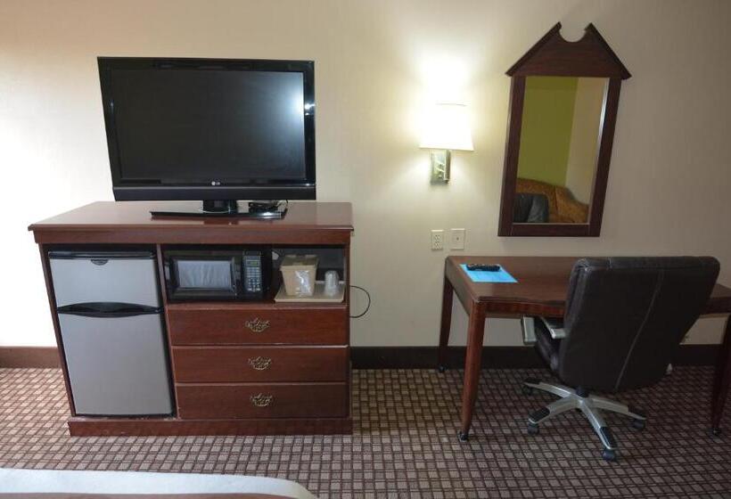 스탠다드 룸 킹사이즈 침대, Jameson Inn And Suites Hazelhurst