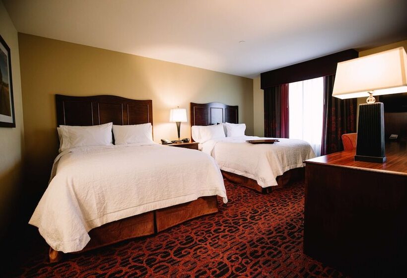 Номер Стандарт 2 Двуспальные Кровати, Hampton Inn & Suites Minot Airport