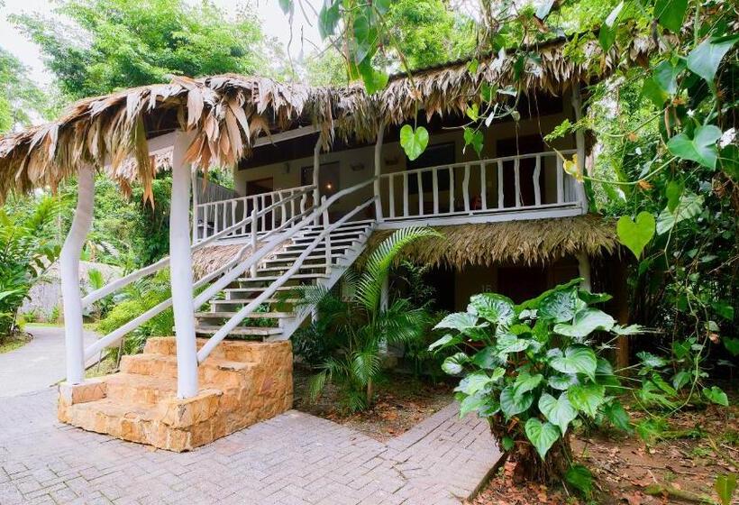 Номер Стандарт, Cariblue Beach and Jungle Resort