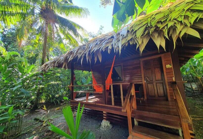Standard bungalow with view, Cariblue Beach and Jungle Resort