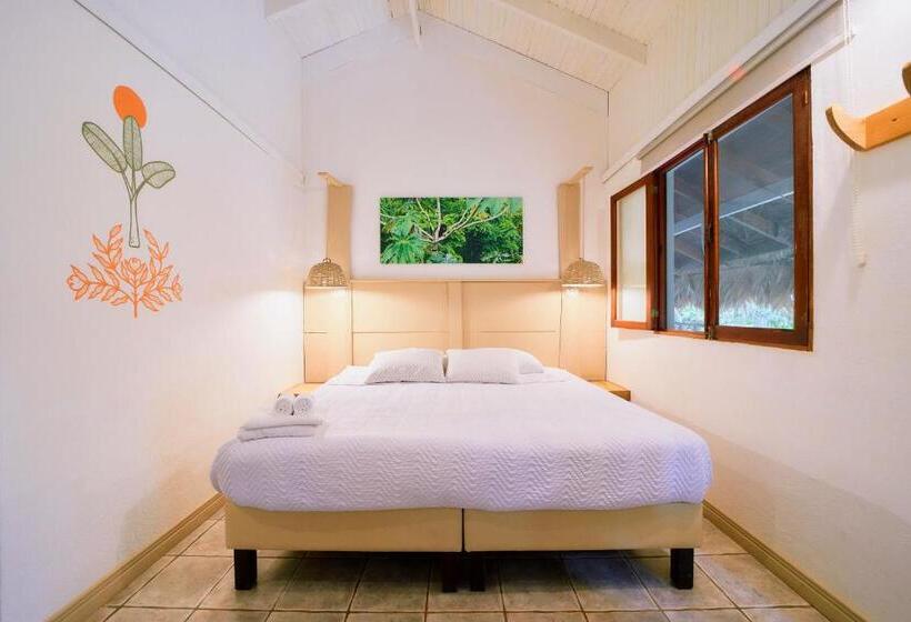 Номер Стандарт, Cariblue Beach and Jungle Resort