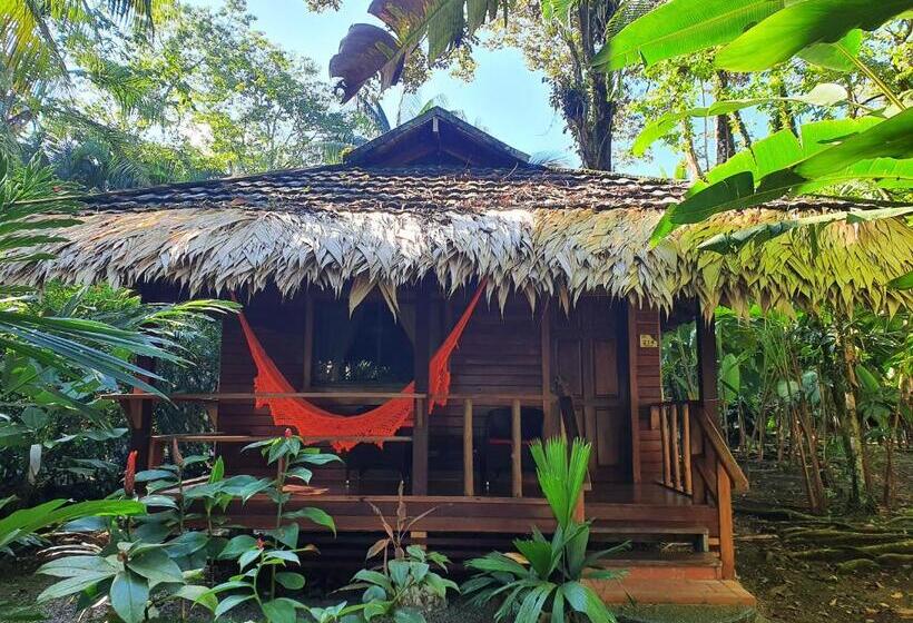 Standard bungalow with view, Cariblue Beach and Jungle Resort