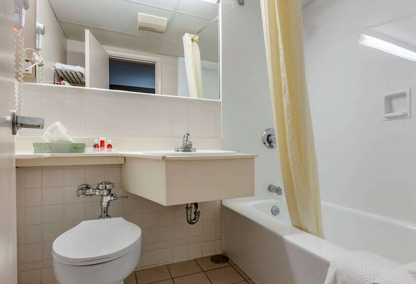 Номер Стандарт 2 Двуспальные Кровати, Econo Lodge Dewitt I 90