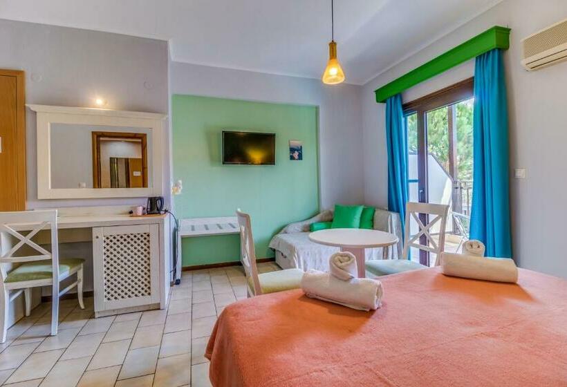 高级大房间, Pegasus Adult Friendly