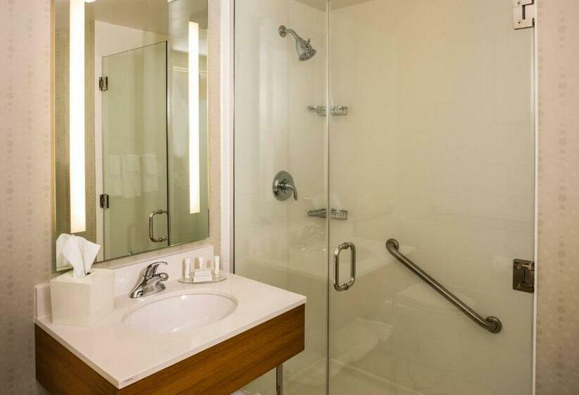 استودیو استاندارد با تخت کینگ, Springhill Suites New York Laguardia Airport