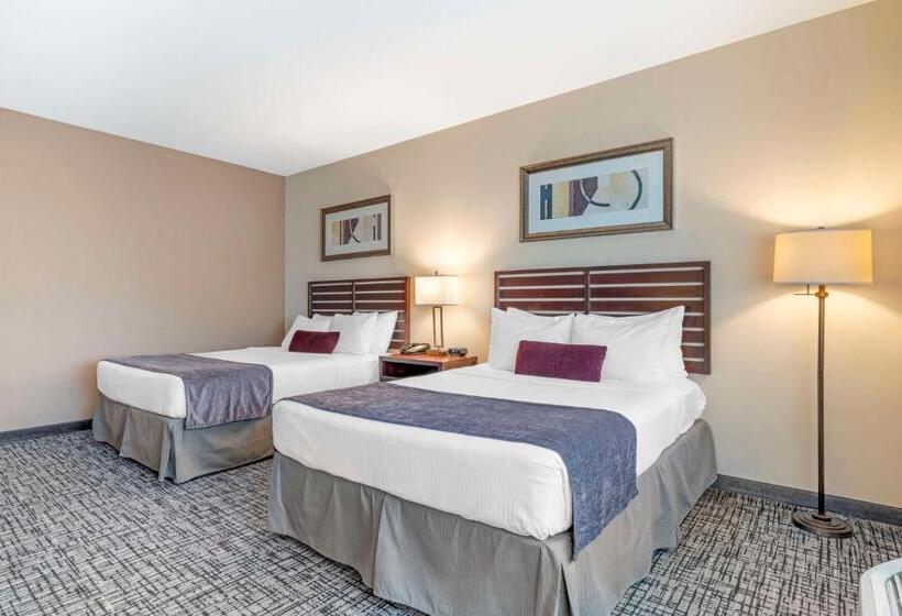 Standaardkamer Aangepast voor Gehandicapten, Best Western Plus Bayside