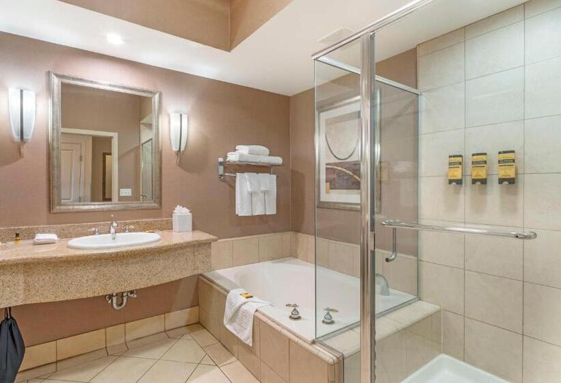 Pokój Standard z Widokiem, Best Western Plus Bayside