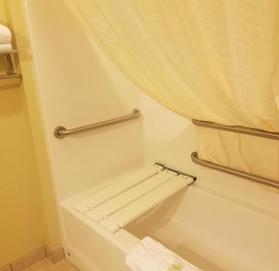 장애인을 위한 스탠다드 룸, Cobblestone Inn & Suites  Bottineau