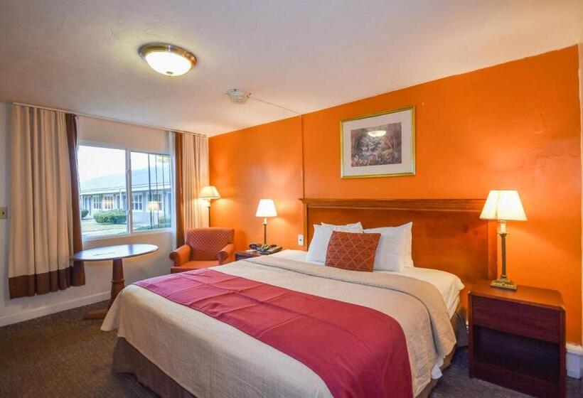 스탠다드 싱글 룸, Monticello Inn  Framingham/ Boston