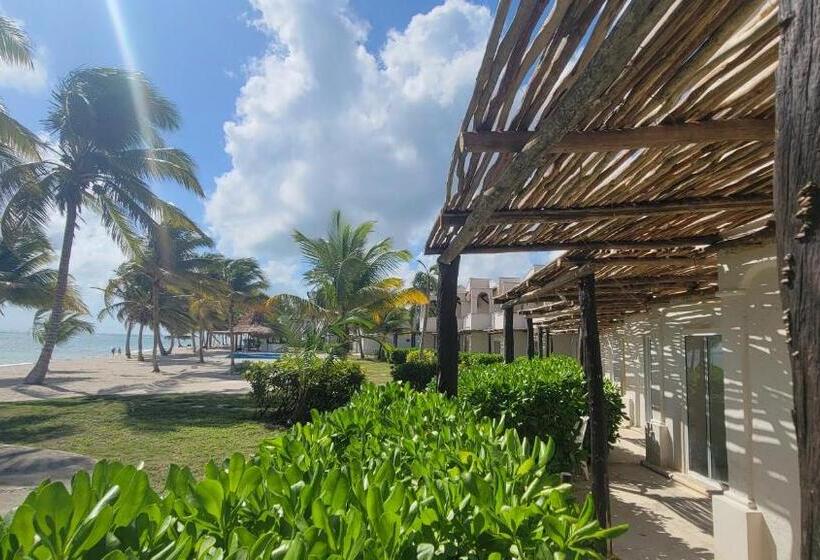 Camera Standard Letto King, Pavoreal Beach Resort Tulum