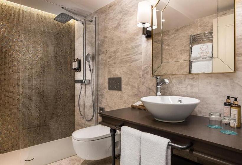 اتاق کلاسیک, áurea Casa Palacio Sagasta By Eurostars Hotel Company