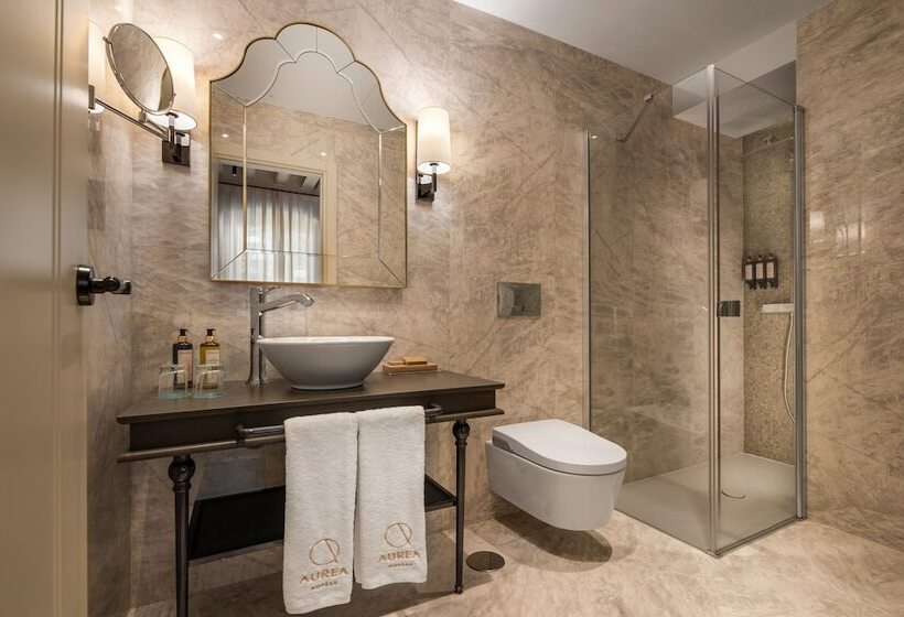 اتاق پرمیوم, áurea Casa Palacio Sagasta By Eurostars Hotel Company